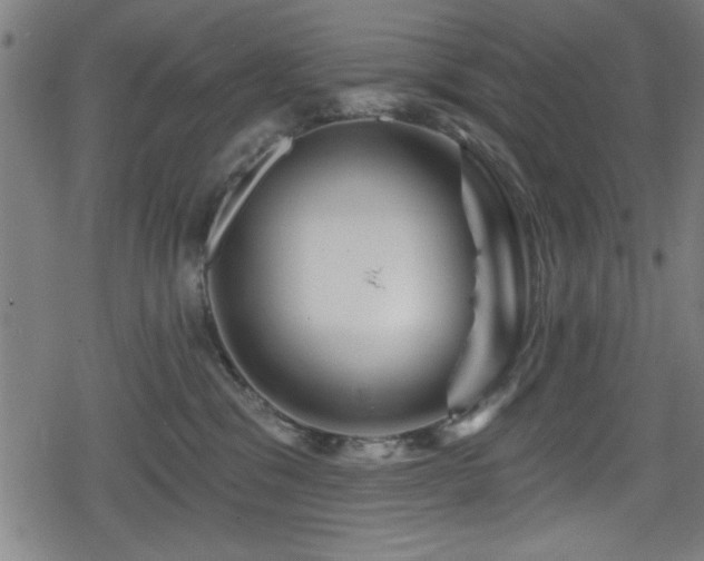 X0000078890329200611131236