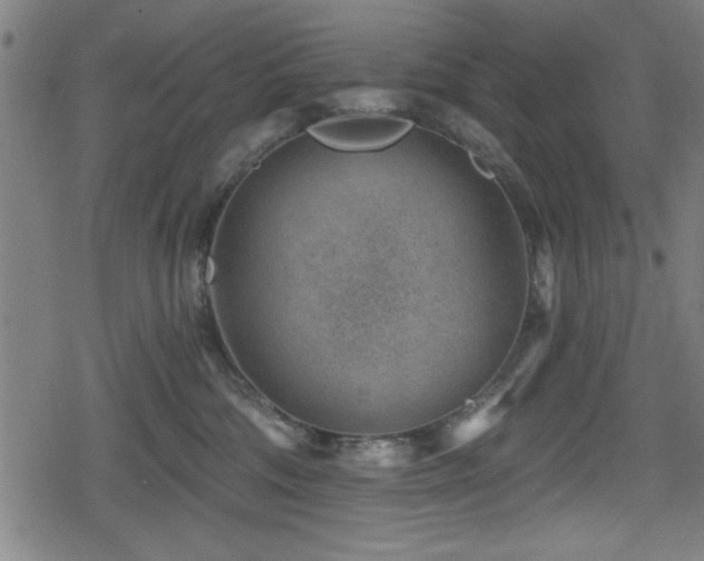 X0000078890330200611131236