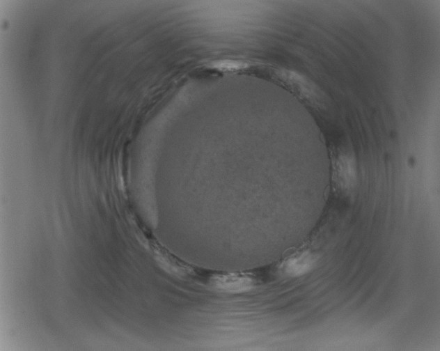 X0000078890331200611131236