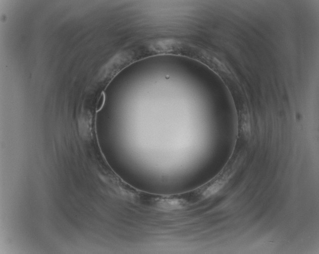 X0000078890332200611131236