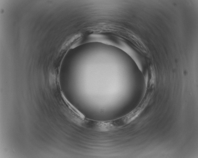 X0000078890333200611131236