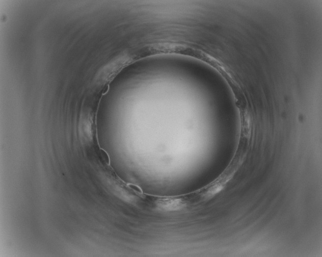 X0000078890334200611131236