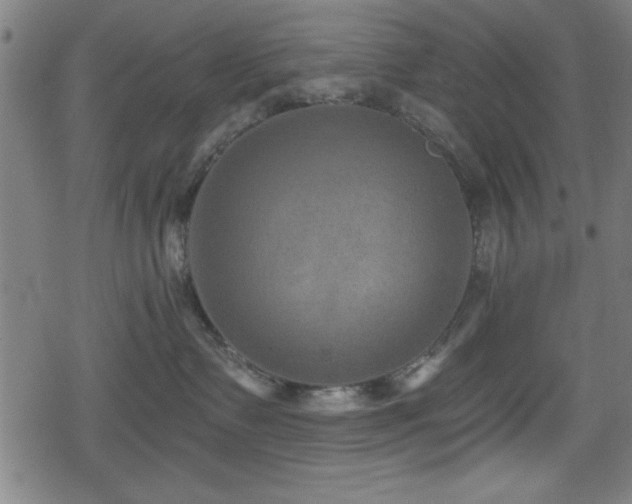 X0000078890335200611131236