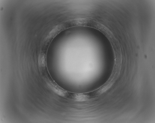 X0000078890336200611131236