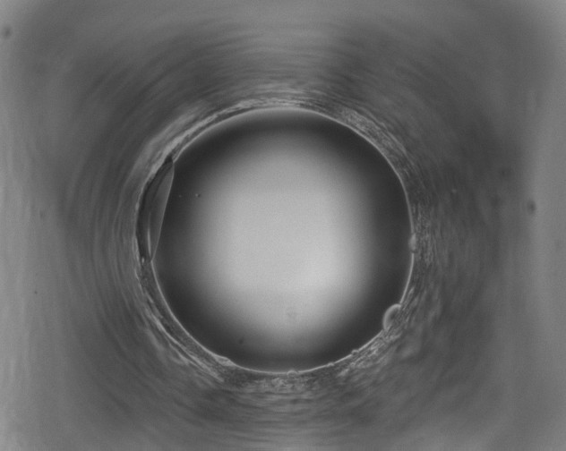 X0000078890338200611131235