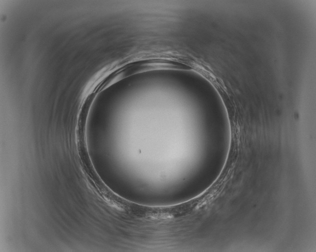 X0000078890340200611131235