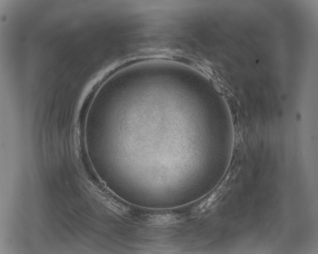 X0000078890342200611131235