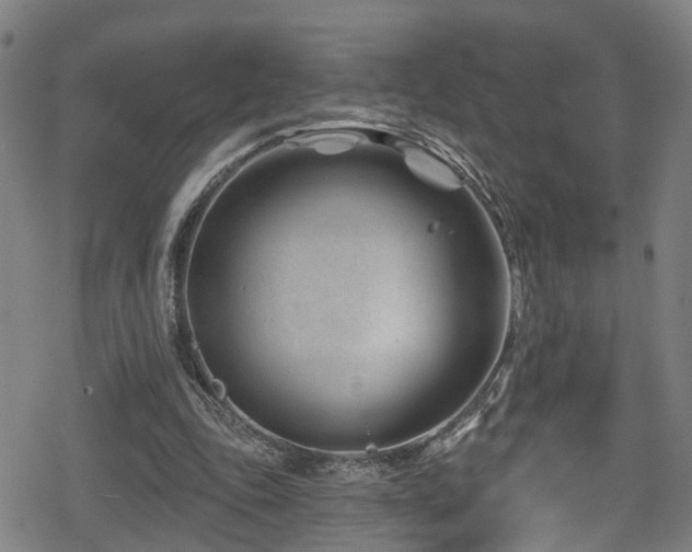 X0000078890343200611131235