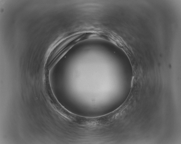 X0000078890344200611131235