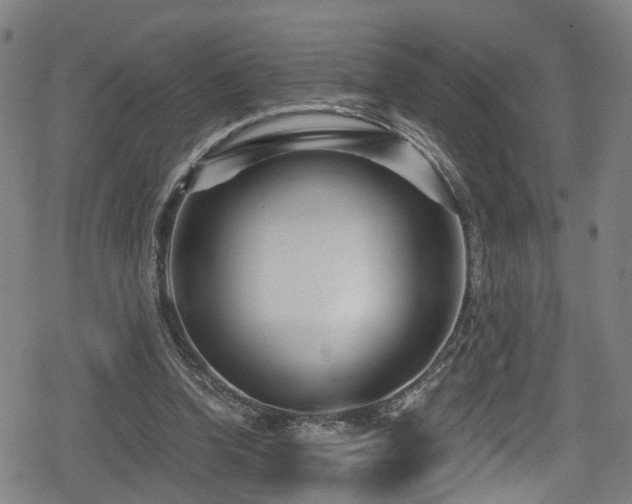 X0000078890346200611131235