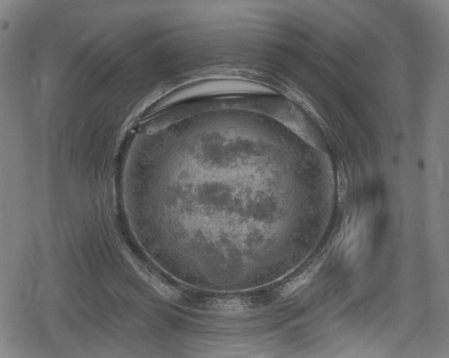 X0000078890349200611131235