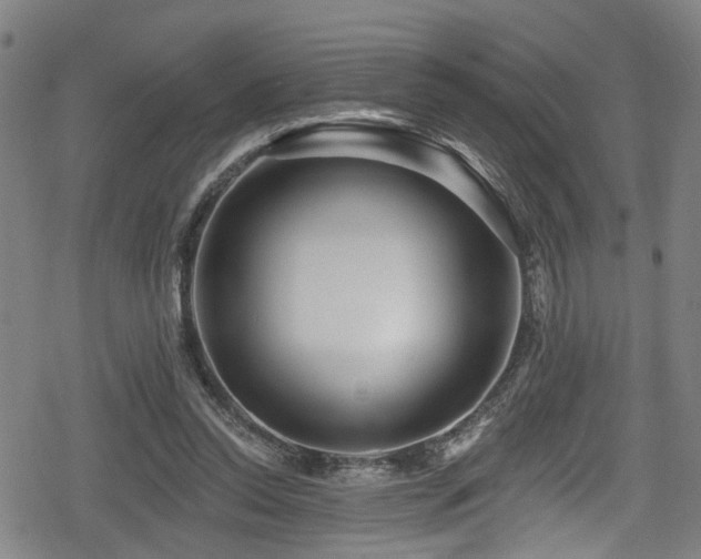 X0000078890350200611131235