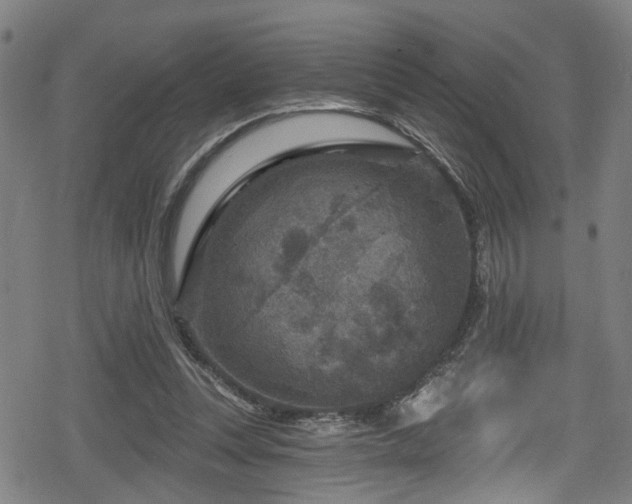 X0000078890351200611131235