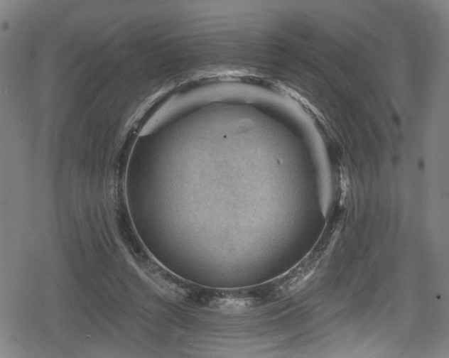 X0000078890352200611131235