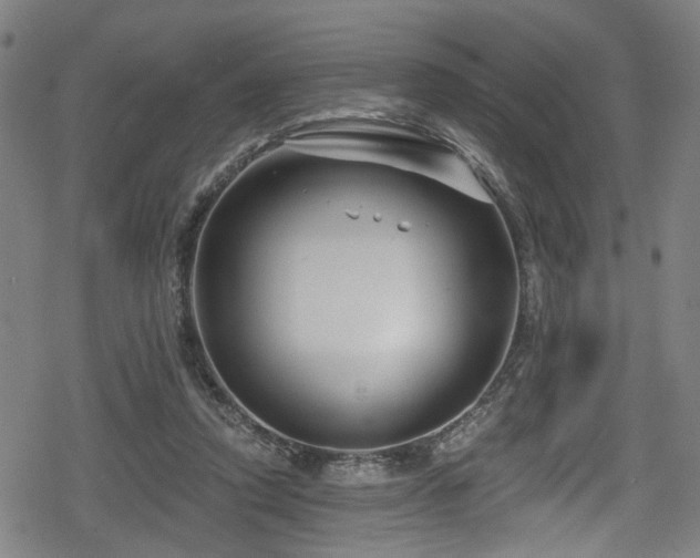 X0000078890354200611131235