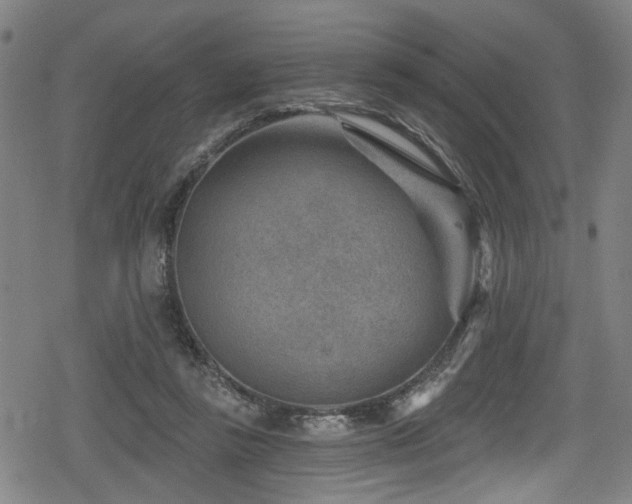 X0000078890355200611131235