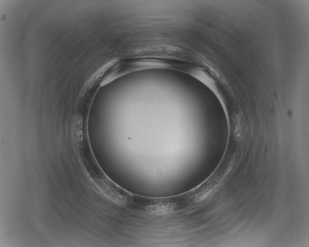 X0000078890356200611131235