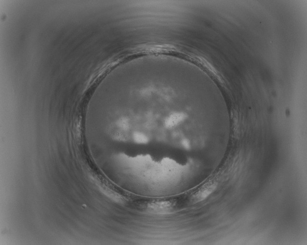 X0000078890357200611131235