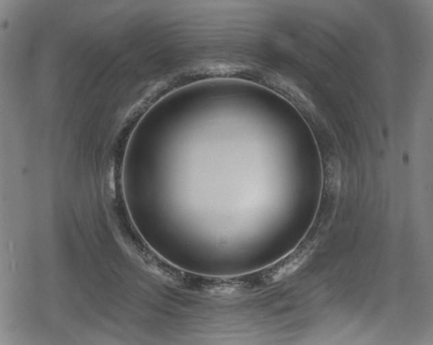 X0000078890358200611131236