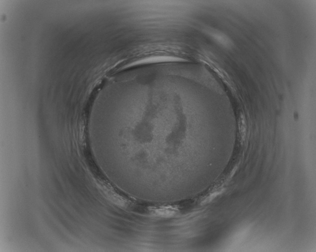 X0000078890359200611131236