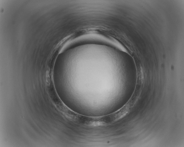 X0000078890360200611131236