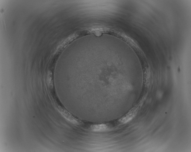 X0000078890361200611131236