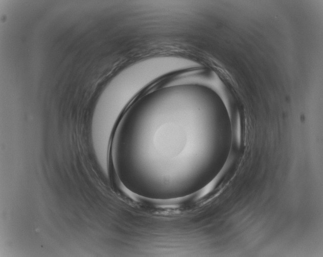 X0000078890362200611131236