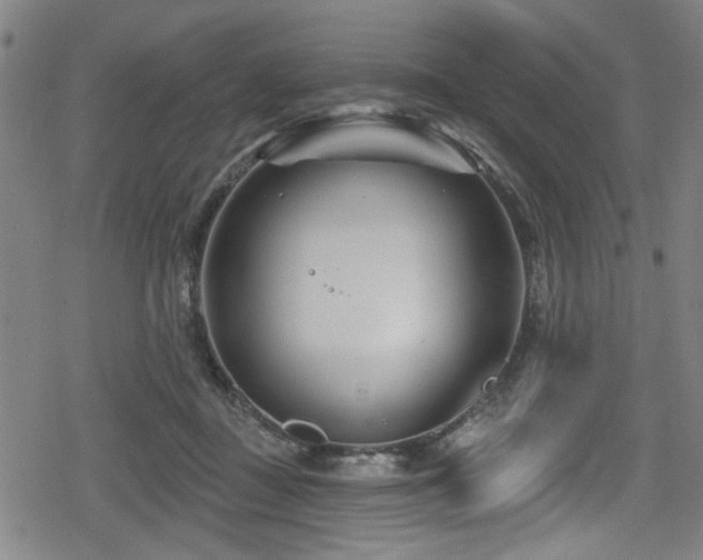 X0000078890363200611131236