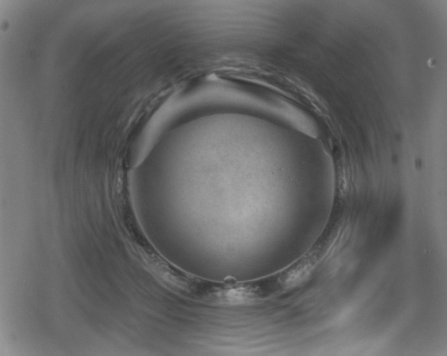 X0000078890365200611131236