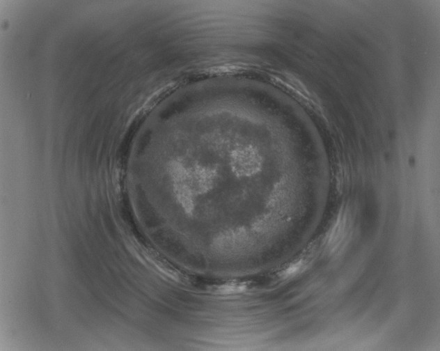 X0000078890366200611131236