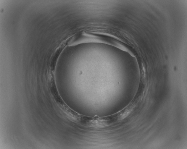 X0000078890367200611131236