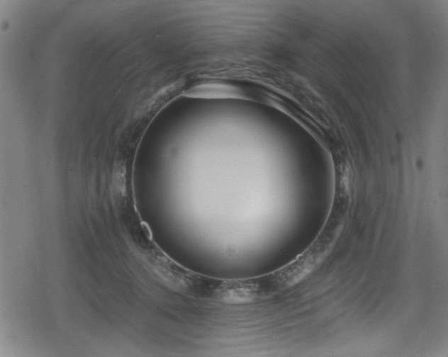 X0000078890368200611131236