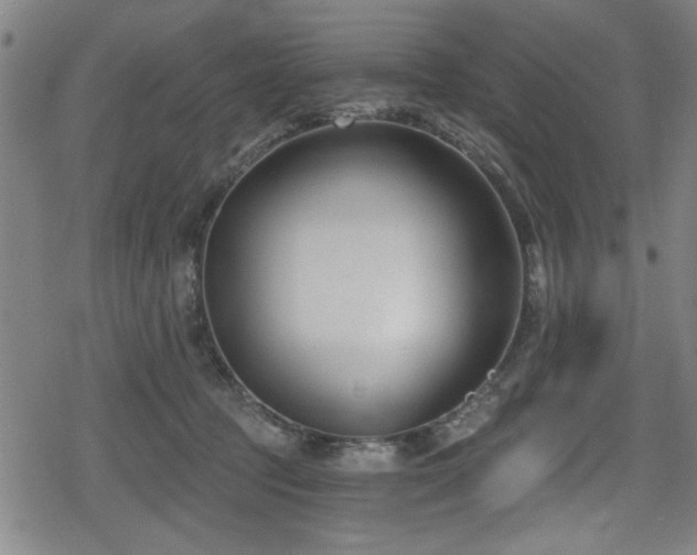 X0000078890369200611131236