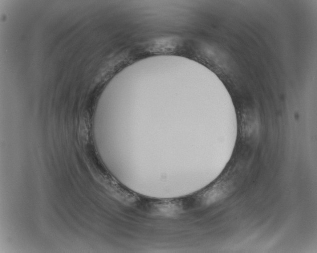 X0000078890370200611131236