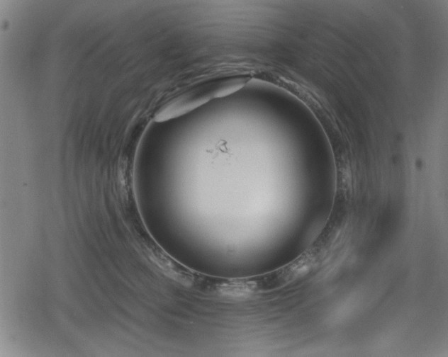 X0000078890373200611131236