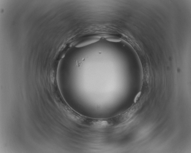 X0000078890374200611131236