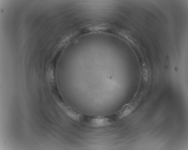 X0000078890375200611131236