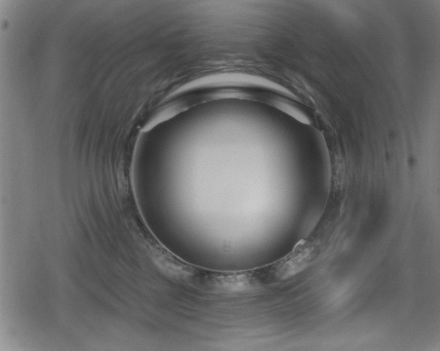 X0000078890377200611131236