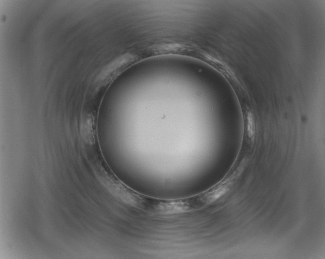 X0000078890378200611131236