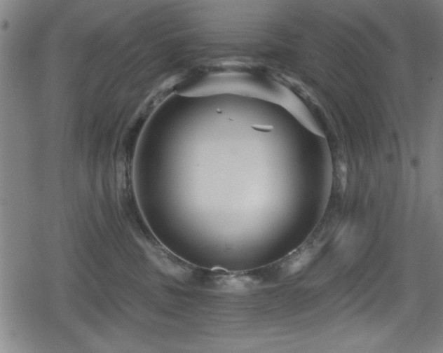 X0000078890379200611131236