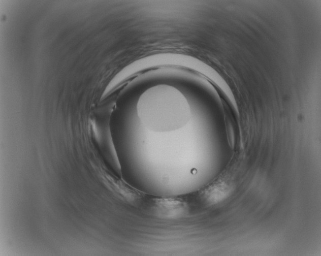 X0000078890380200611131236