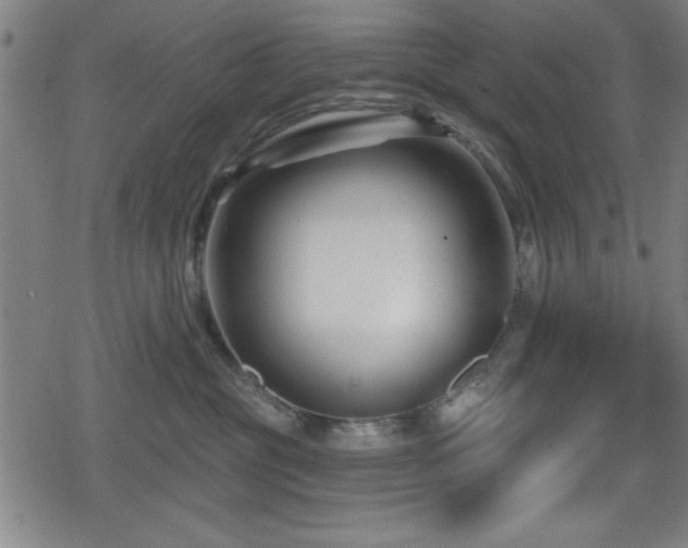 X0000078890381200611131236