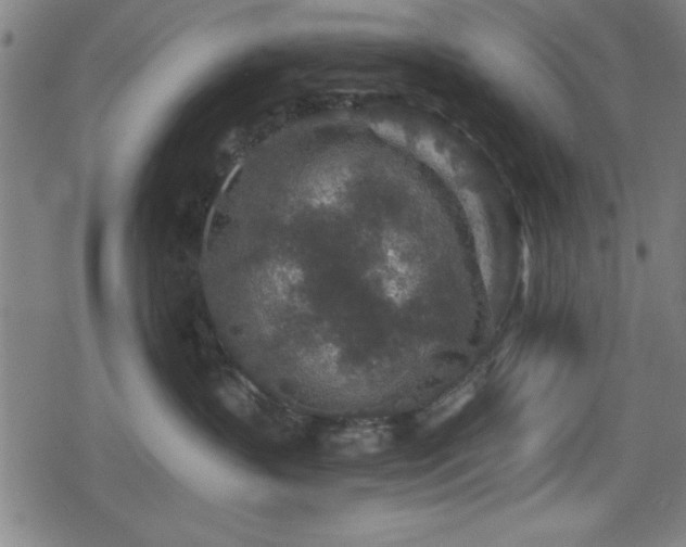 X0000078890383200611131236