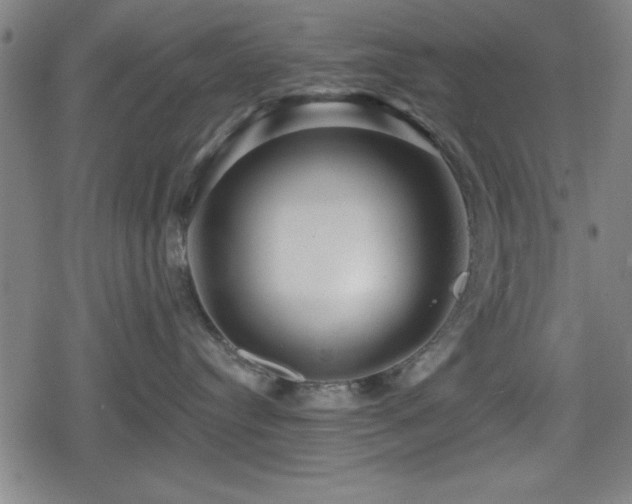 X0000078890384200611131236