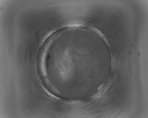 X0000078890385200611131235