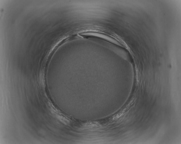 X0000078890386200611131235