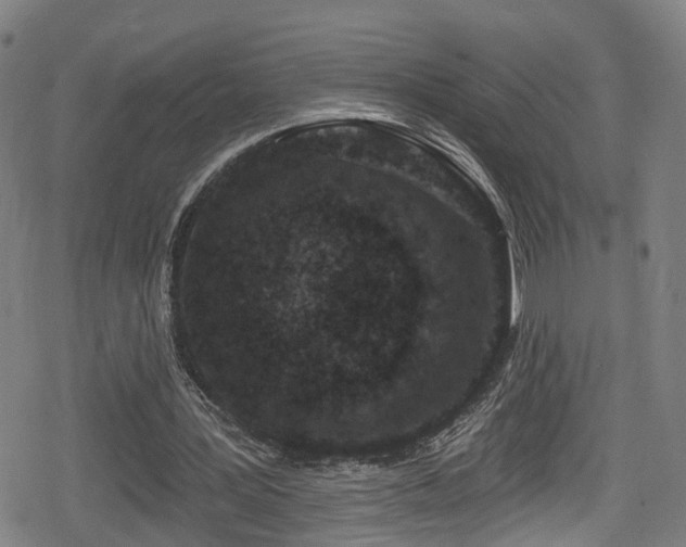 X0000078890387200611131235