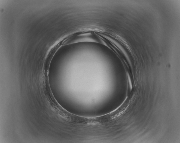 X0000078890388200611131235