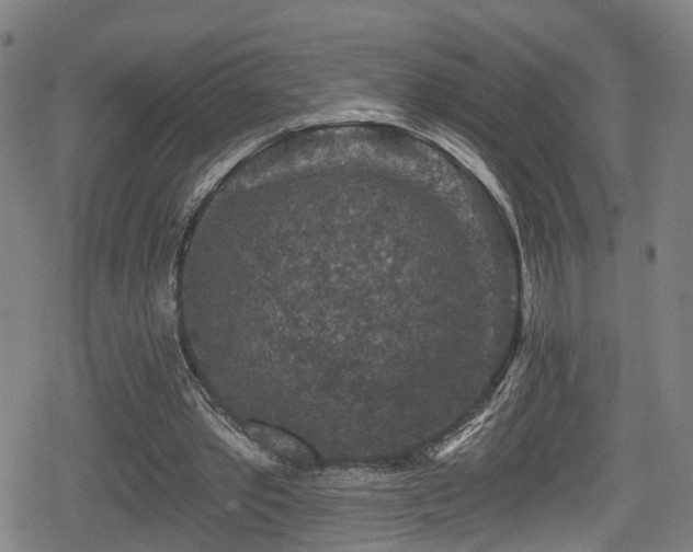 X0000078890389200611131235