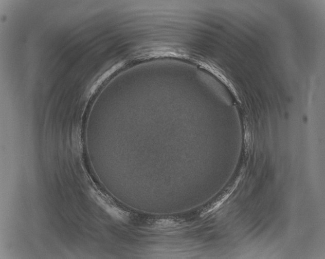 X0000078890390200611131235